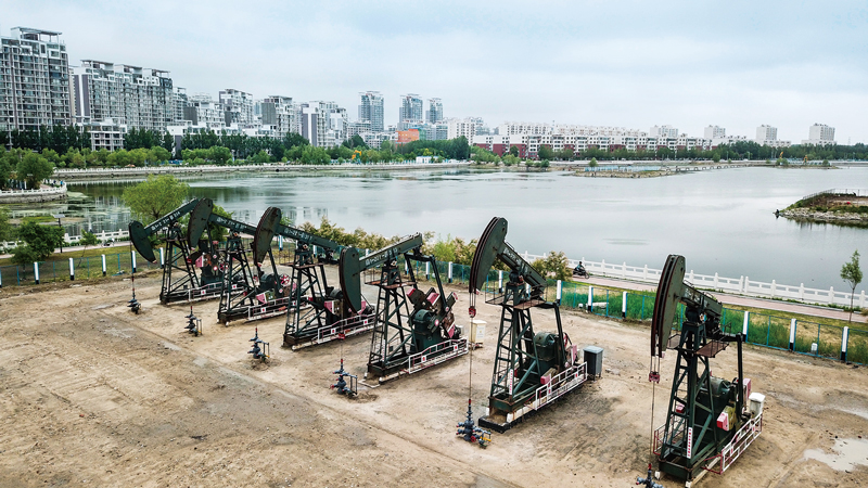 求是:我為祖國獻石油