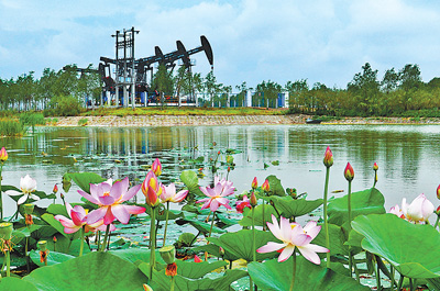 人民日?qǐng)?bào):大慶為何青春常在