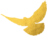 沖刺收官中的“急先鋒”【堡壘行動·黨員風(fēng)采】